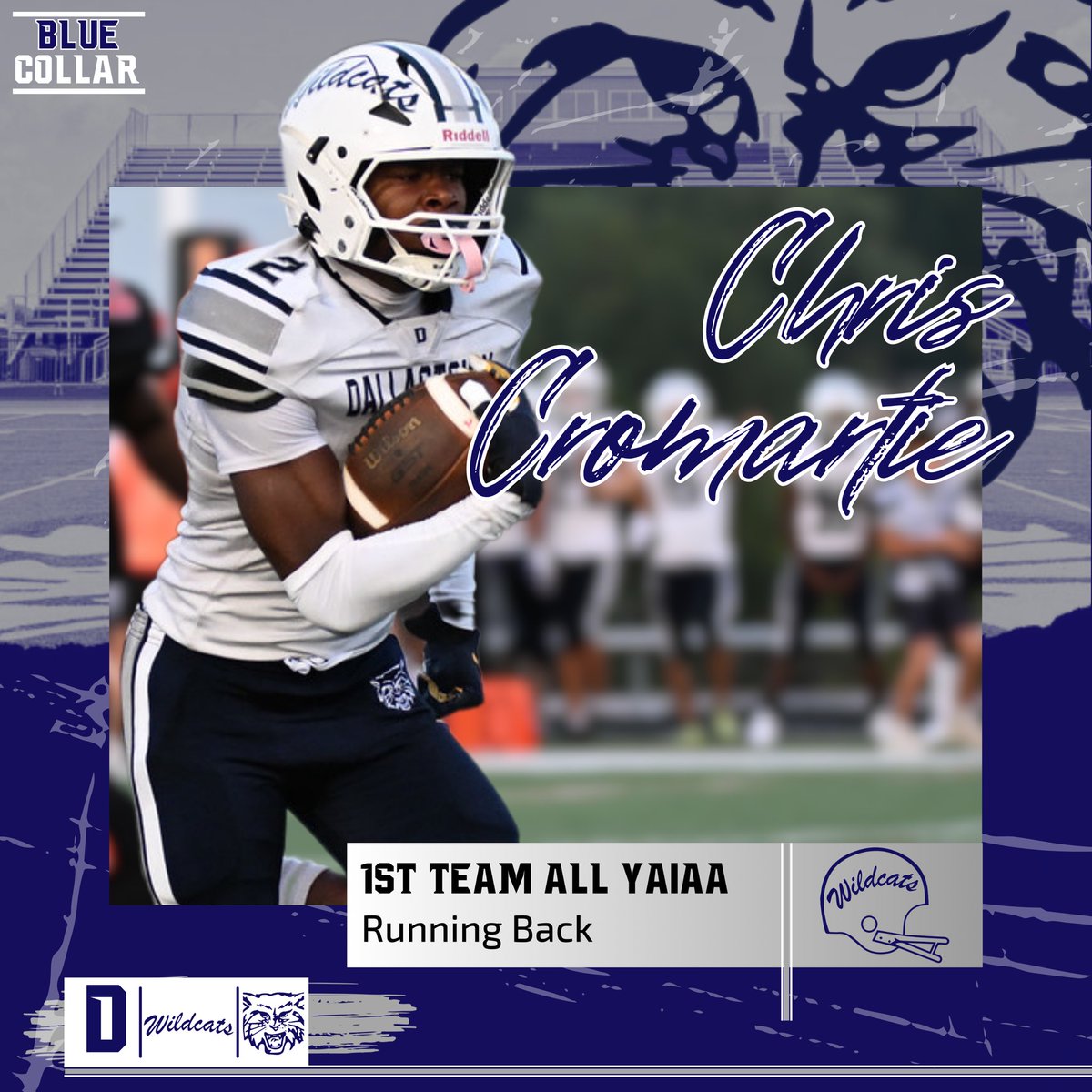 Dallastown Wildcats Football tweet media