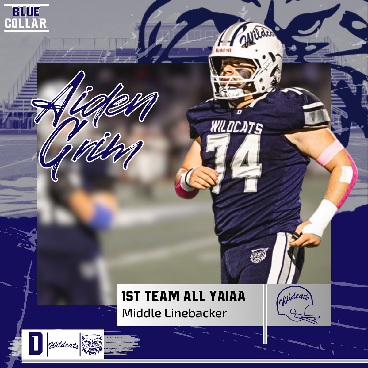 Dallastown Wildcats Football tweet media