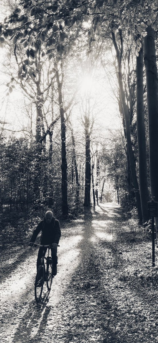 #bwphotography #fall #thehague