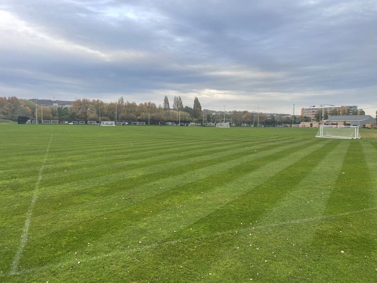 Matt Hill tweet media