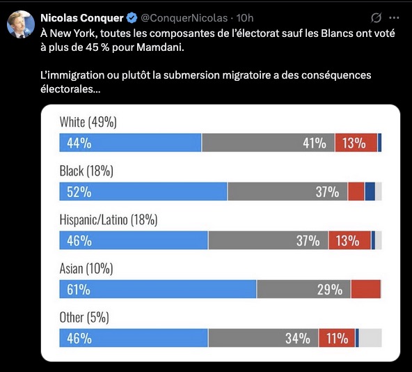 Magnifique but contre son camp de Nicolas Conquer : grâce à son graphique, on apprend que toutes les composantes de l'électorat (y compris les blancs) ont voté majoritairement pour Mamdani.
Heureusement pour lui que se lecteurs sont trop cons pour comprendre.