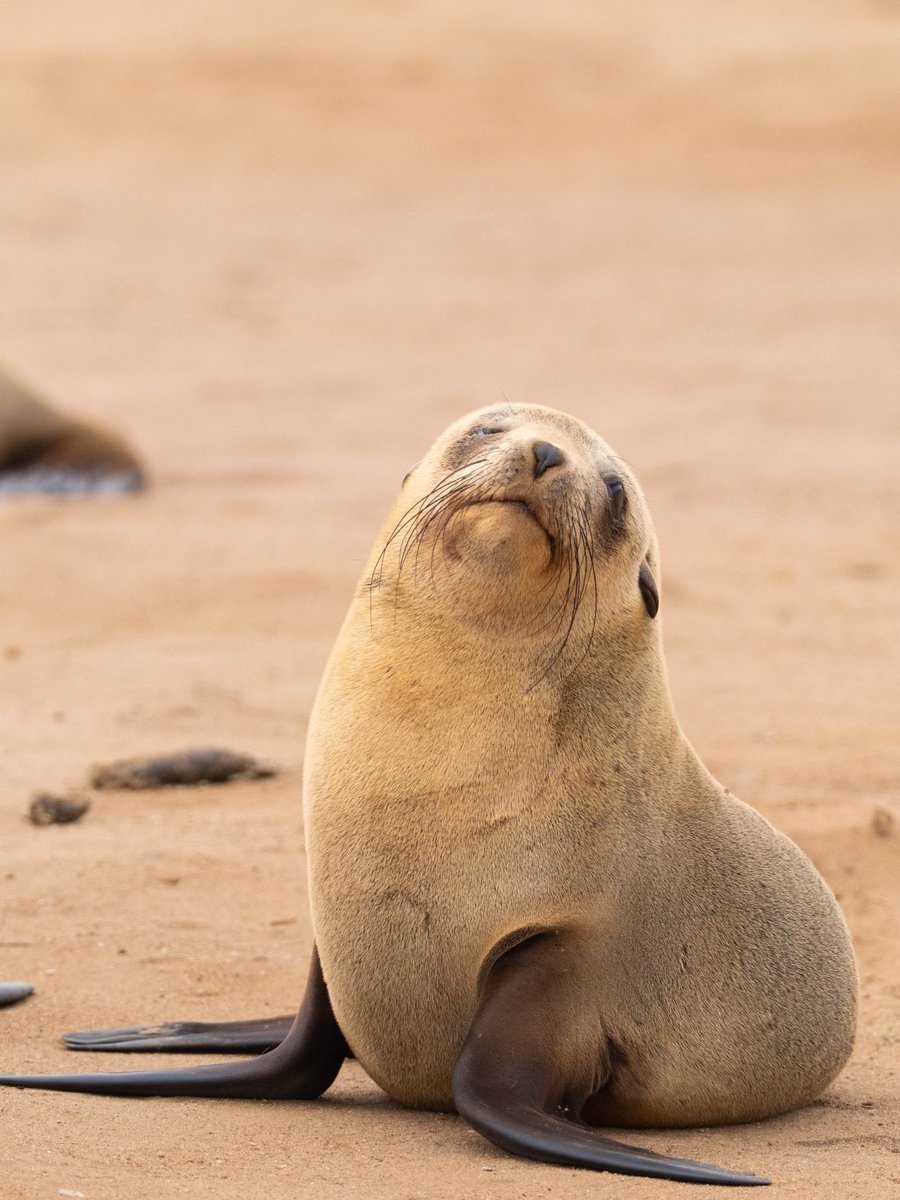 José Manuel Caballero Fernández tweet media