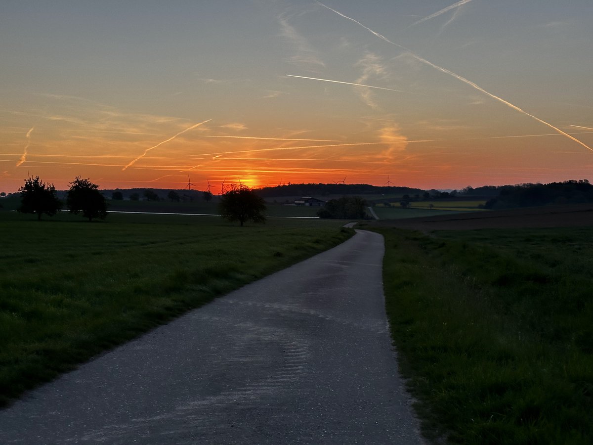 SatisfyLab360's tweet image. Golden stillness over a quiet road.  
Light moving slower than time.  
@SatisfyLab360 — THE ART OF CALM MOTION  
#CinematicFlow #VisualCalm #SatisfyLab360