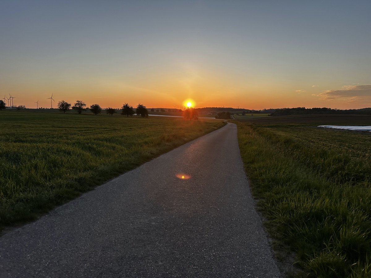 SatisfyLab360's tweet image. Golden stillness over a quiet road.  
Light moving slower than time.  
@SatisfyLab360 — THE ART OF CALM MOTION  
#CinematicFlow #VisualCalm #SatisfyLab360