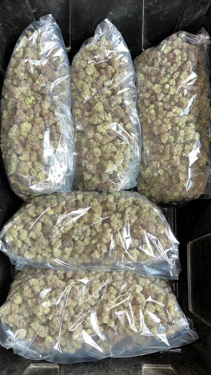 We’re still sending out orders fam! Dm now and yours would be next🫵