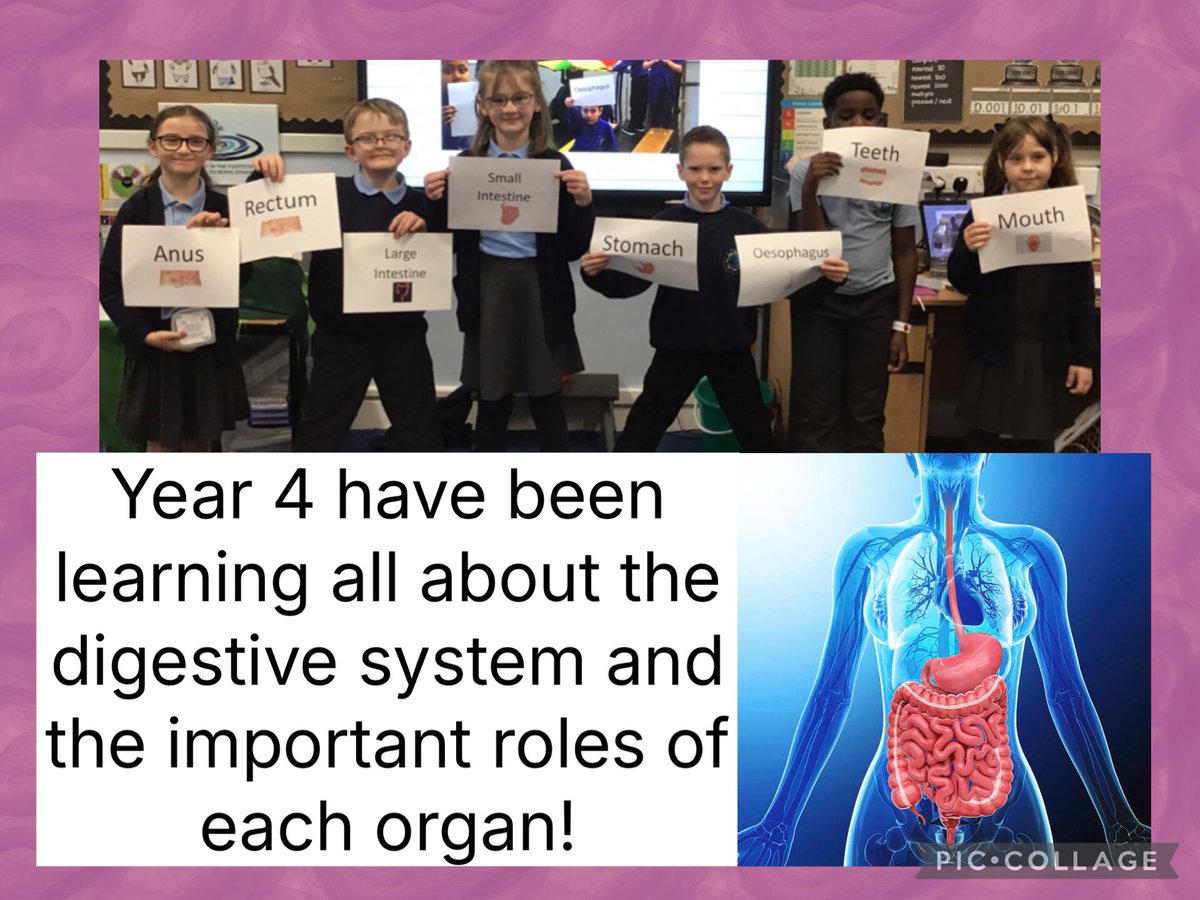 StAugustinesCPS's tweet photo. Busy afternoon for Year 4! #StAugustinesScience https://t.co/pI1F9oUrTd