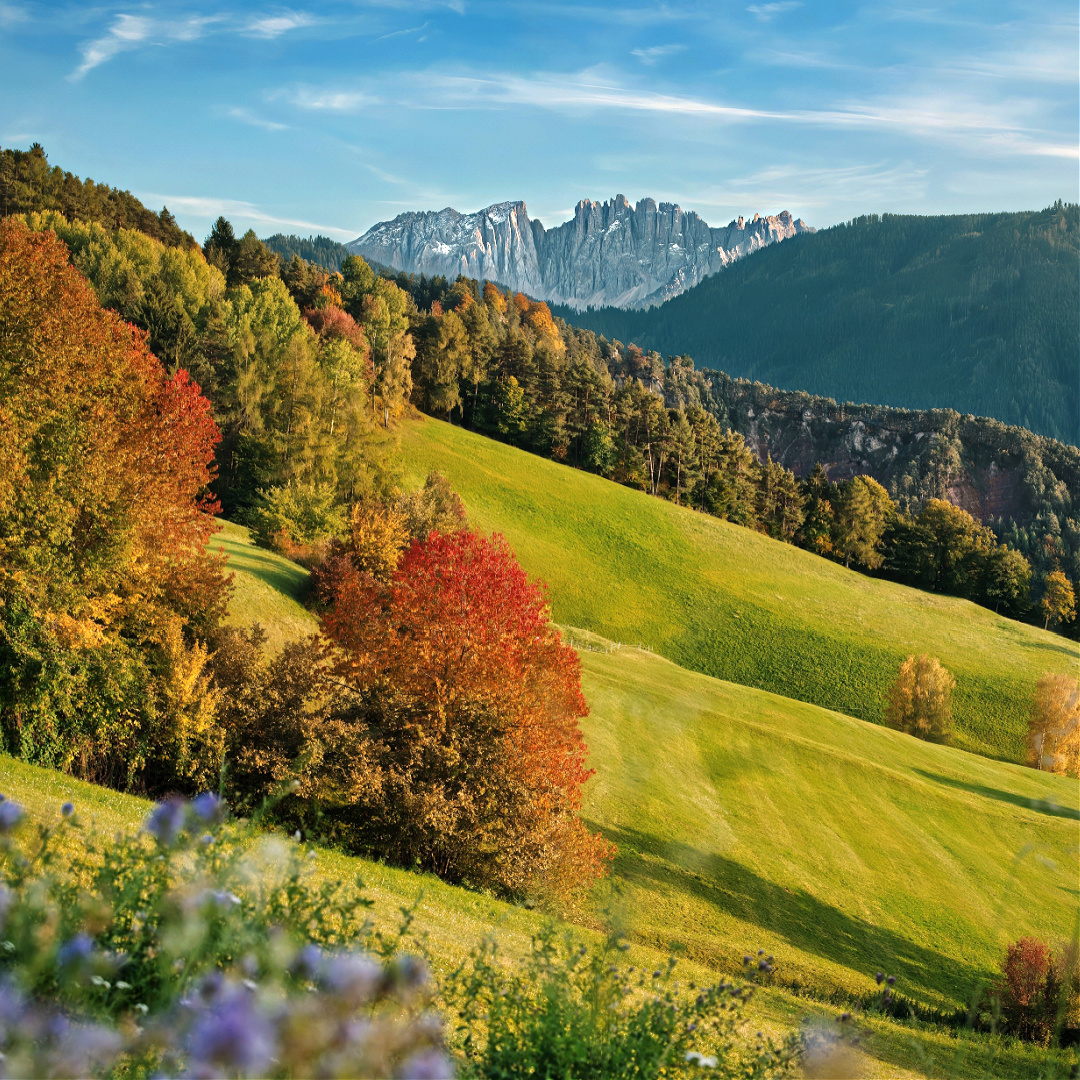 A love letter to South Tyrol’s most magical season. 🍂🧡🍷
