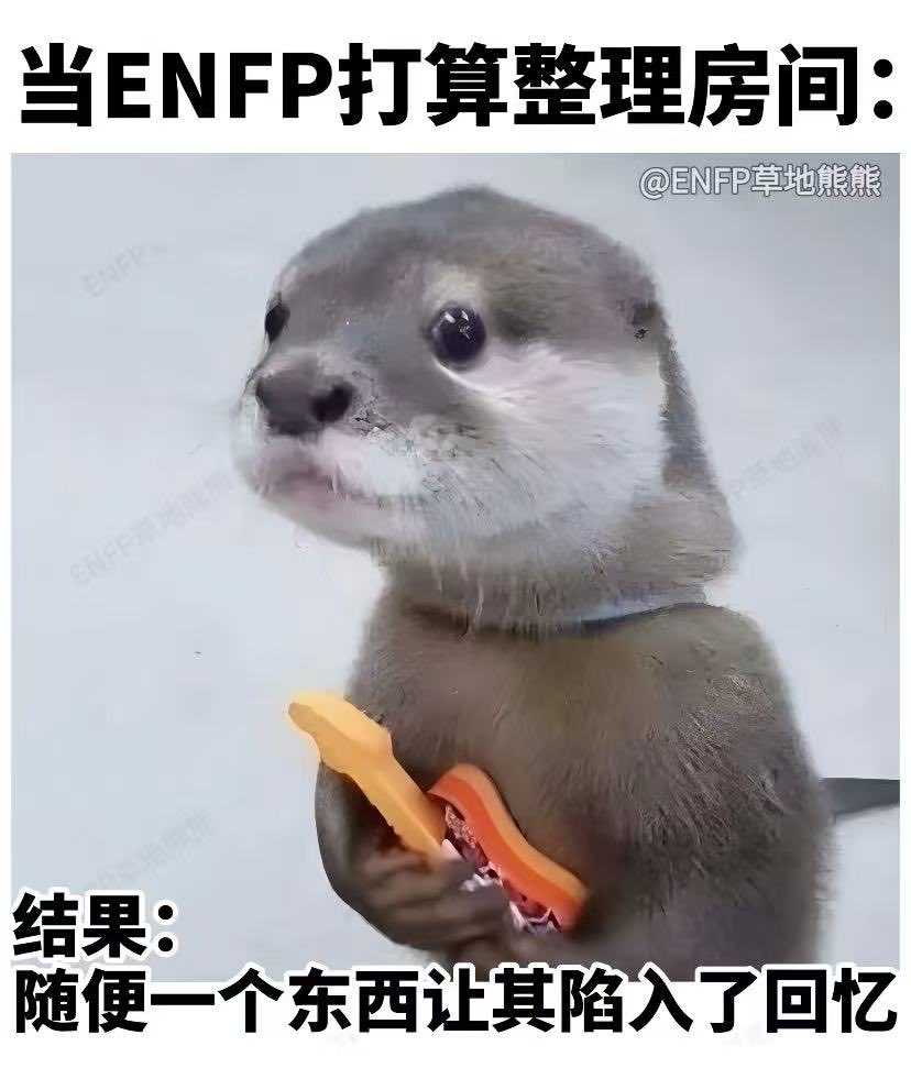 只要睡醒时能记得清晰的梦境，就会被现实与梦的差距打倒，明明已经睡不着了却想一直躺下去，想流眼泪了.......