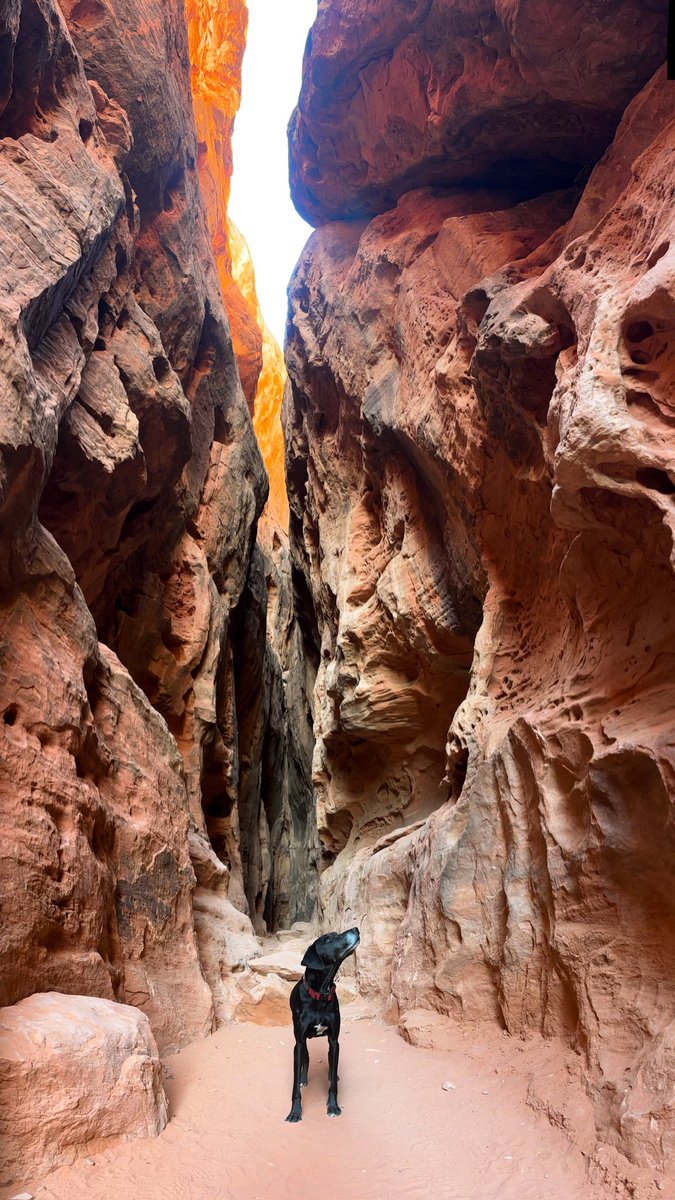 I was really apprehensive about taking a travel job. It’s a big change from being on the course every day. But, I can honestly say I have the BEST territory. The people are amazing, the courses are incredible and I get to explore parts of the country I’ve never seen. No regrets!!