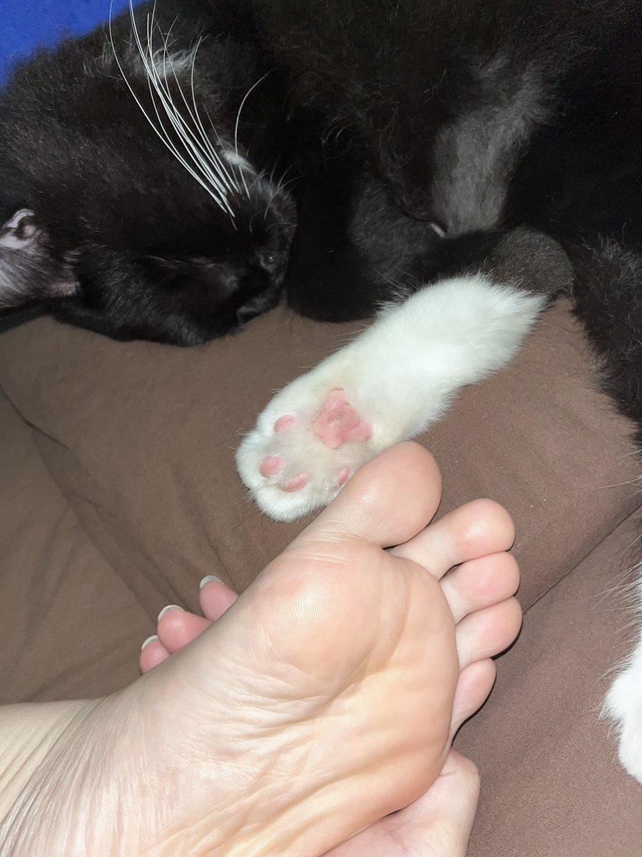 什么都玉只会害了你