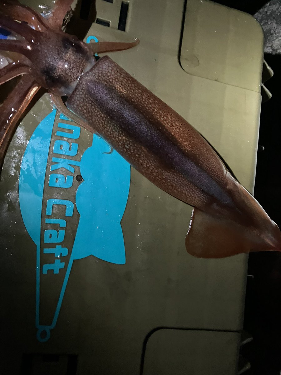 Andy (@1yandy17) / Posts / X