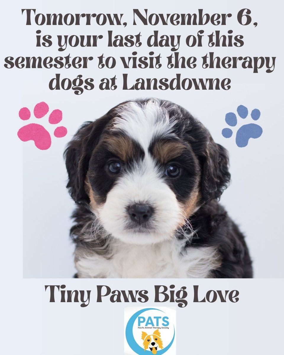 CamosunLibrary's tweet image. 🐾 Don't miss your last chance to de-stress with the therapy dogs! 🐶💕

📅Thursday, November 6
🕜 1:30–3:00 PM
📍 Lansdowne Library

It’s the final therapy dog visit of the semester — come say hi, relax, and soak up some puppy love! 🐕✨