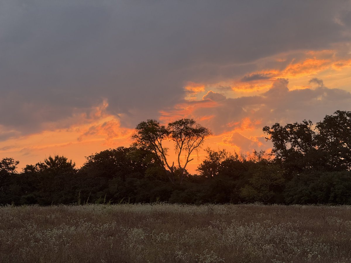 A very pleasant sunrise 🌅 this morning &amp; for lunch Château Jalousie Beaulieu 2022 Bordeaux Supérieur Réserve wine 🍷 notes 📝: well-balanced, non-brooding and rather bright, on the palate a hint of toasted marshmallow #yummy 😋 #Wednesday