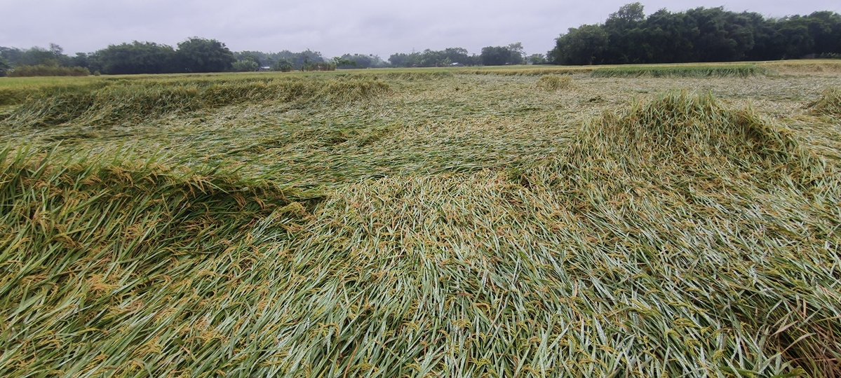 ajeet0018's tweet image. Same to you in bihar