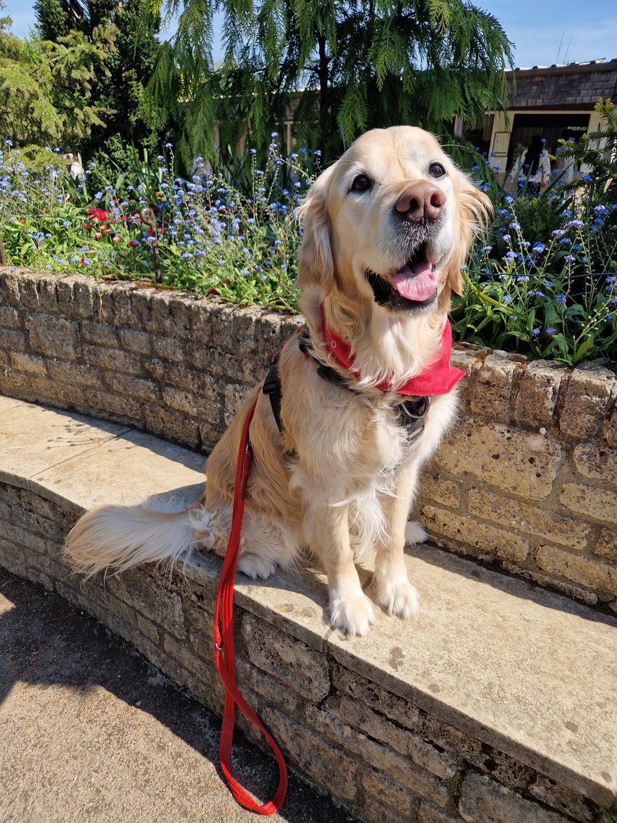 Matty Paddock tweet media