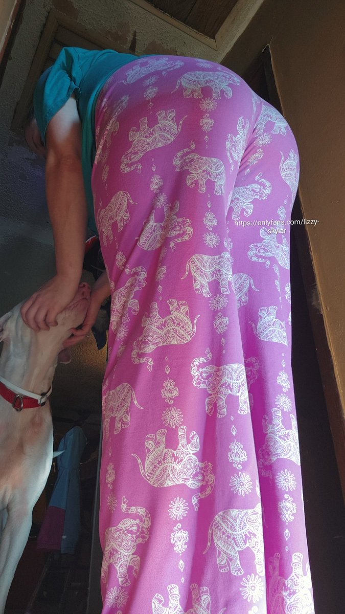 I was picked by the doggie distribution system 🥹😎
Also happy hump day 😎