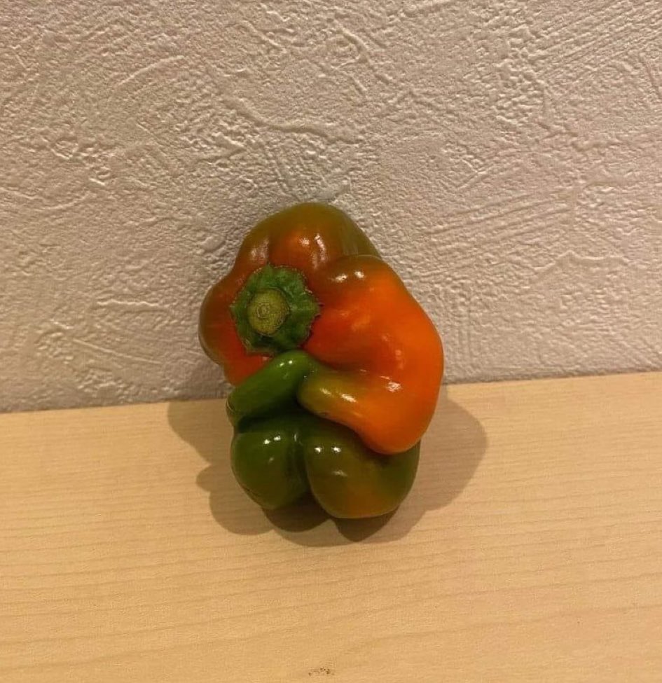 كلنا يافلفل كلناا