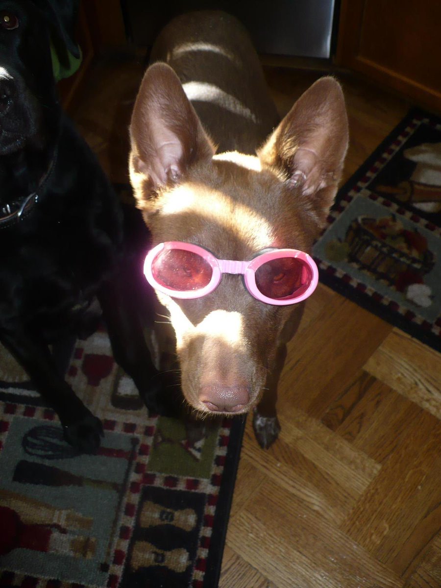 Our prime purpose in this life is to help others. And if you can't help them, at least don't hurt them.
Always remember that you are absolutely unique. Just like everyone else.  Put A Little Love in Your Heart.