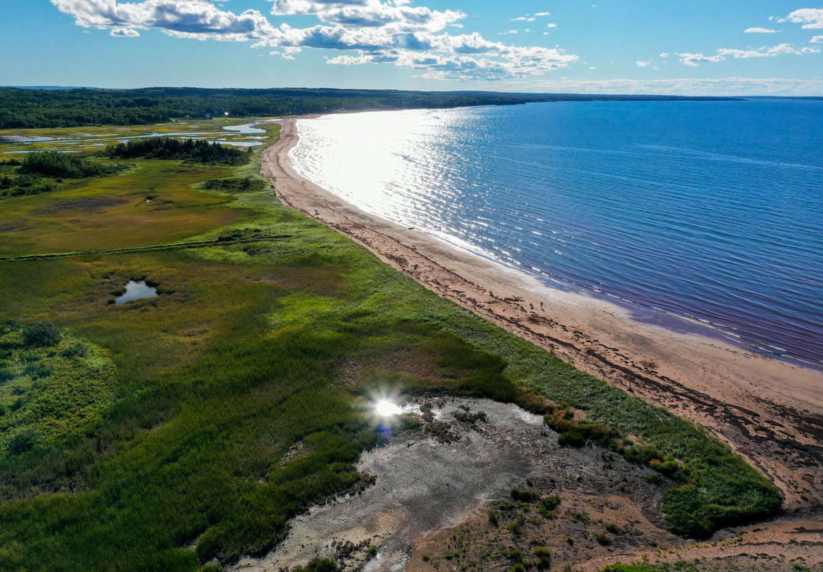 Nova Scotia Gov. tweet media