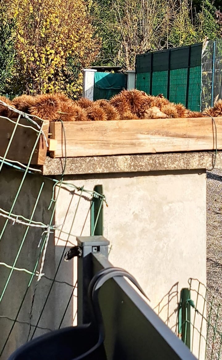 Alex Duclaux tweet media