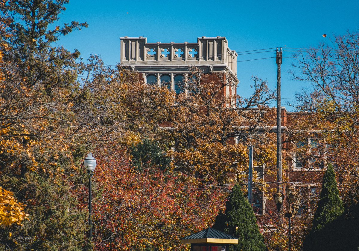 UWOFootball's tweet image. Fall football hits different in Oshkosh. 🍁

#NOW | #GoldStandard