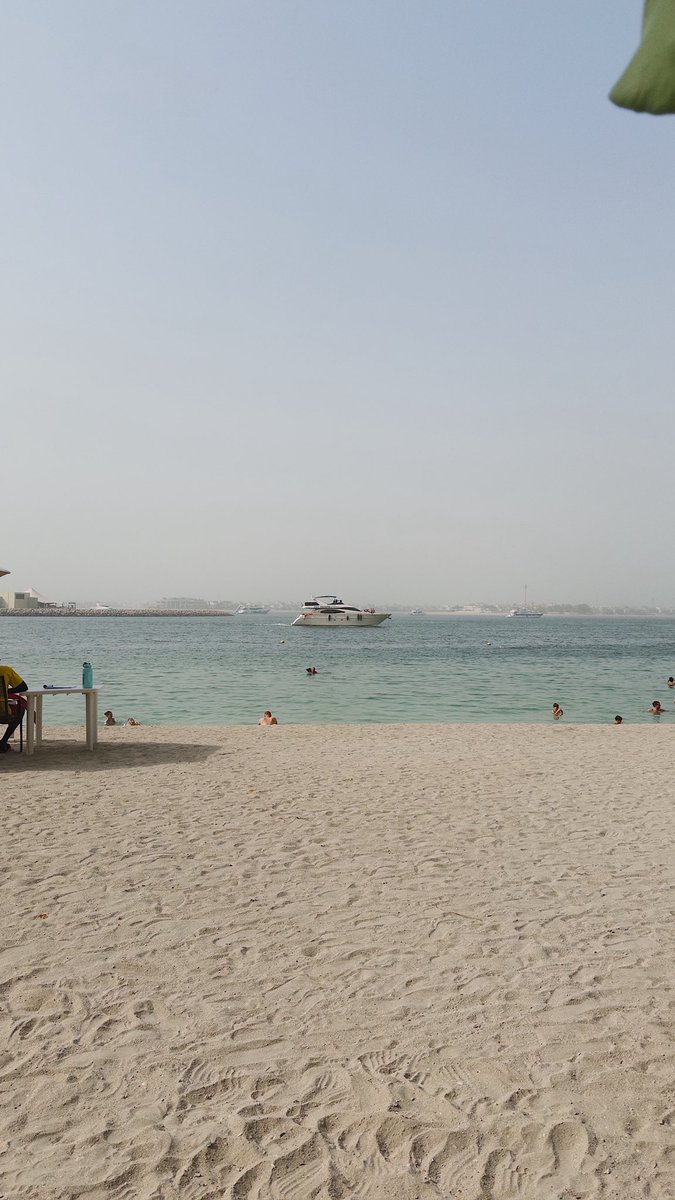 alecTrading's tweet image. this time feels so different. 🇦🇪