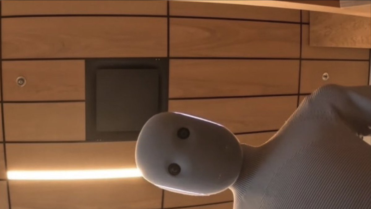 "Good morning, sir! The shitcoin you bought went to fucking zero"