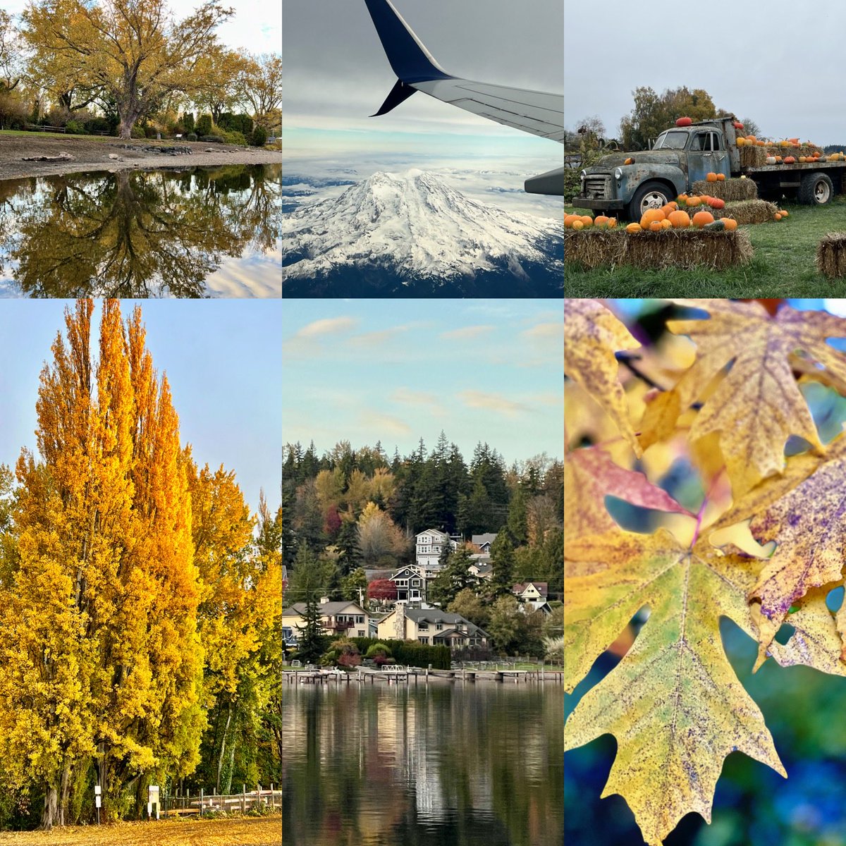 BethDuncan, M.Ed tweet media