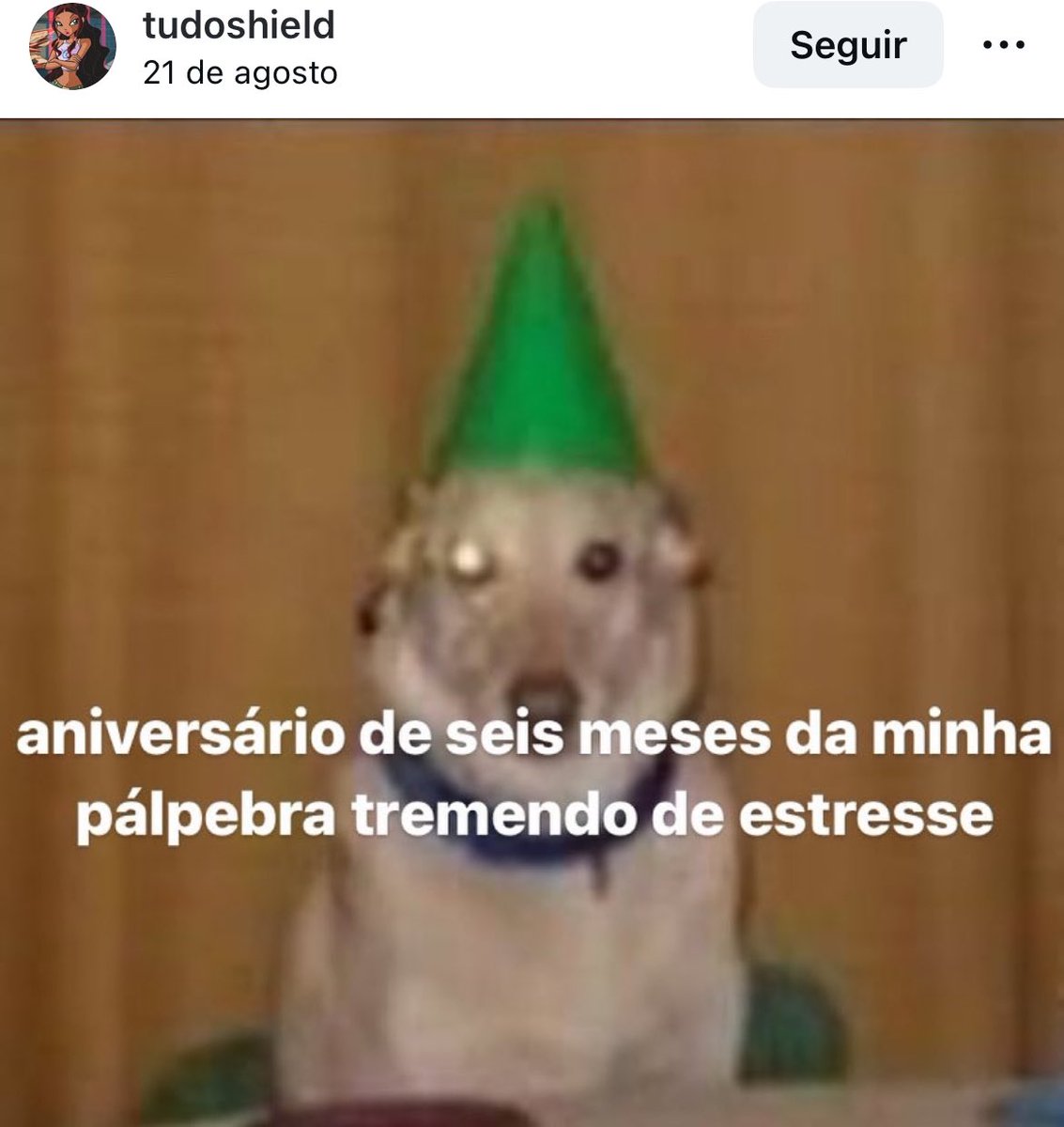 vittor's tweet image. 