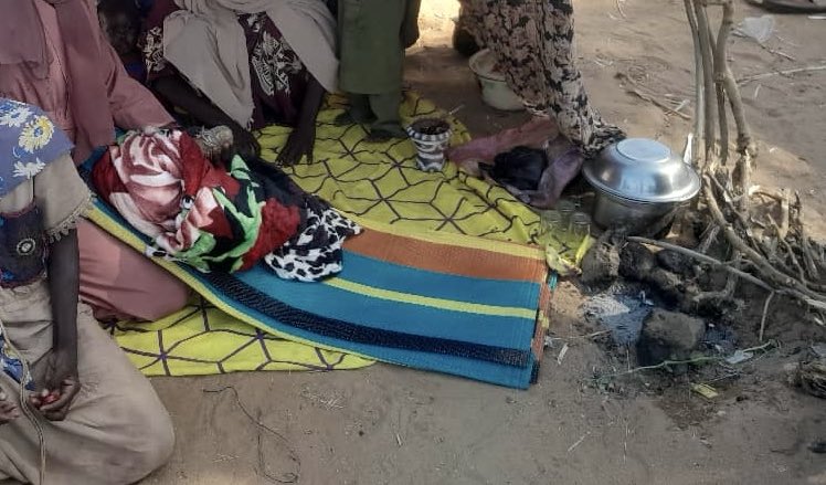 ريّا tweet media