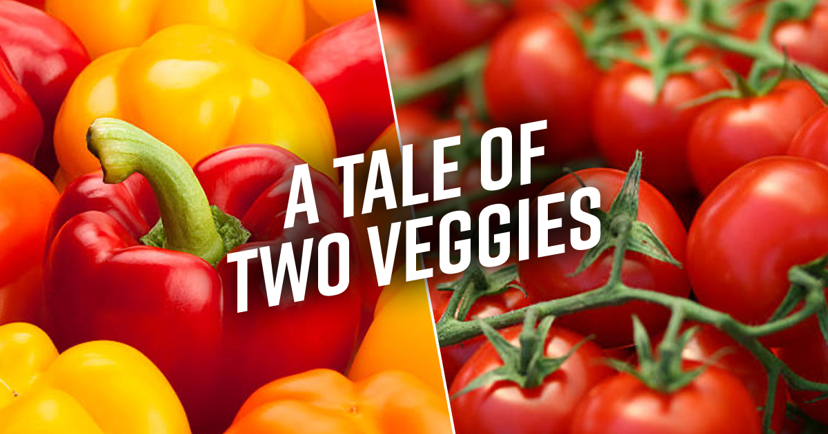 ShopRedSun's tweet image. Bell peppers like it cold! Store in the fridge in a resealable bag in the crisper, and they should stay fresh up to two weeks. Tomatoes prefer a room temperature spot such as on the counter, stem side down, to become ripe and keep a pleasantly juicy texture. #KitchenTips