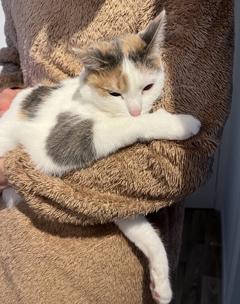 la petite toupette à son papa 🥹🥹