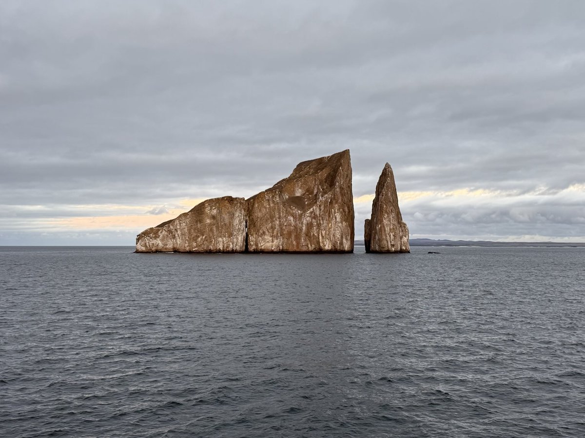 Tom Mueller tweet media