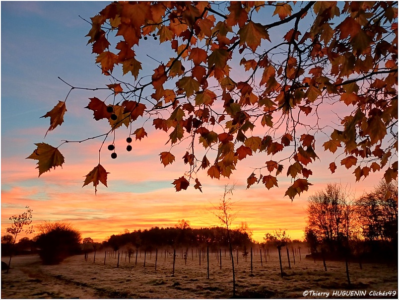 Clichés49 tweet media