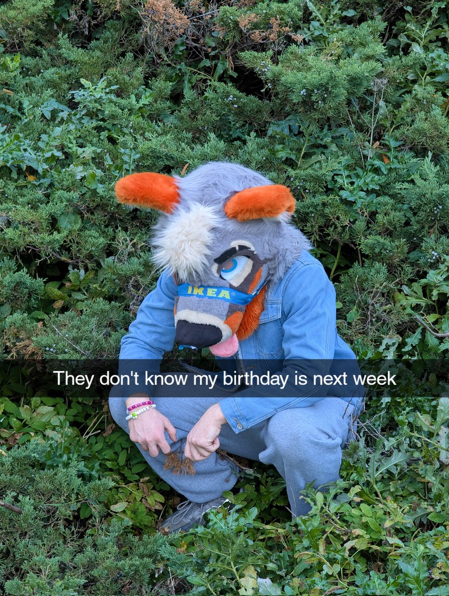 PartDoggo's tweet image. It&apos;s almost here 🥺