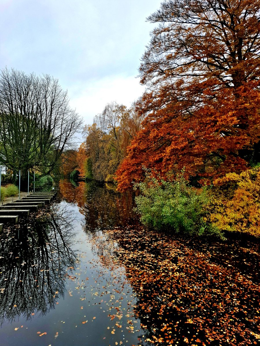 chriz31_07's tweet image. Post a picture YOU took. Just a pic. No description.