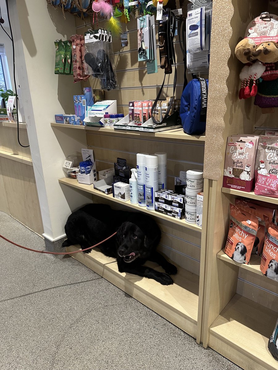 John Donoghue tweet media