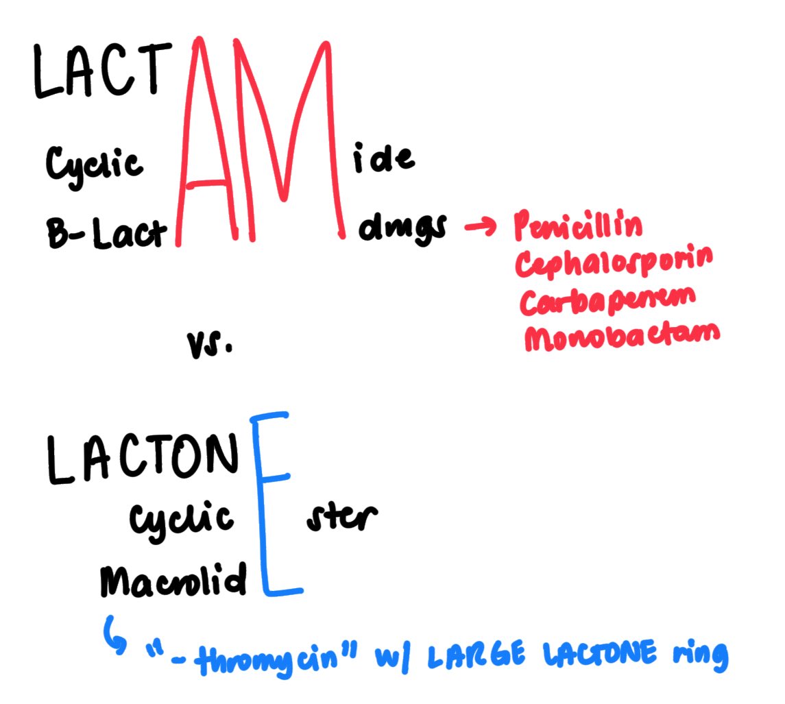 ‼️inulit-ulit sa lecture‼️