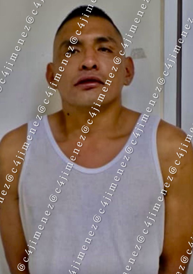 Alerta Quintana Roo tweet media