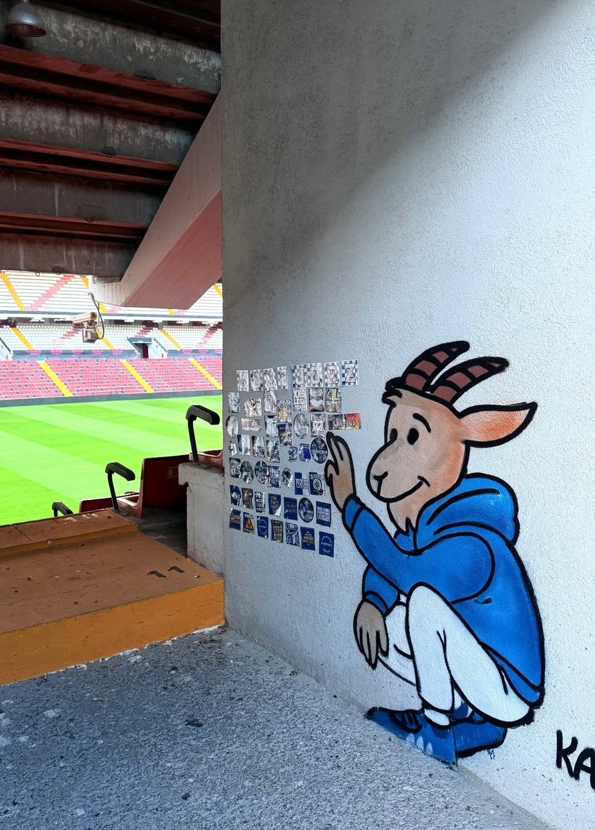 Kolejny koziołek od KaWu 🔥 🔵 ⚪