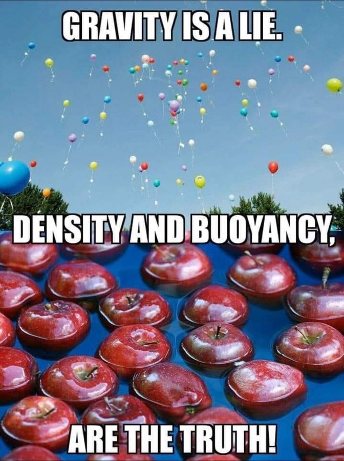 FLAT on XRPL tweet media