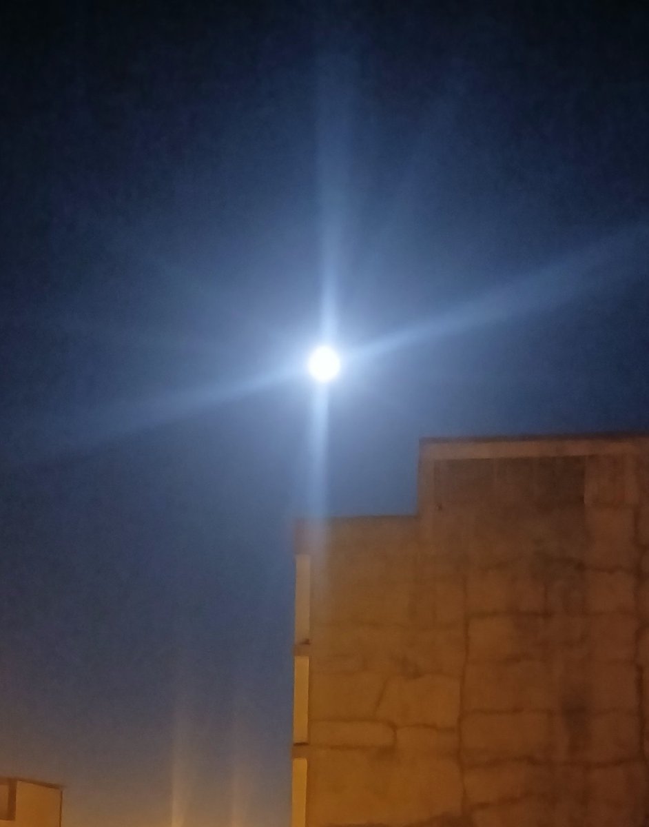 Oysa biz basit insanlarız.
Ve ölümlü.
Yaşamayı ve baharı bu yüzden çok severiz.
Doğan herşeye inanırız. 
Çocuklara, güneşe bize düşler sunan ayışığına...

Onat Kutlar