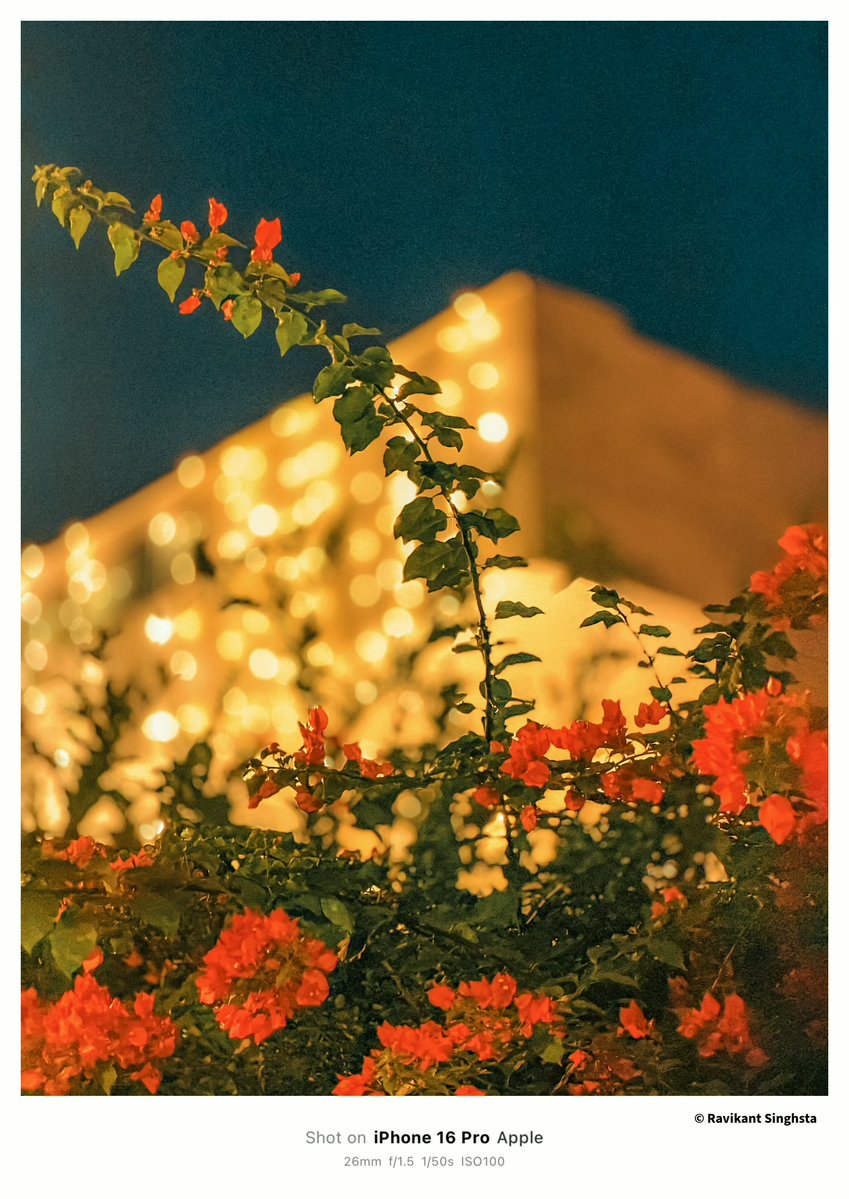 rksinghsta's tweet image. Clicked on 22nd October.