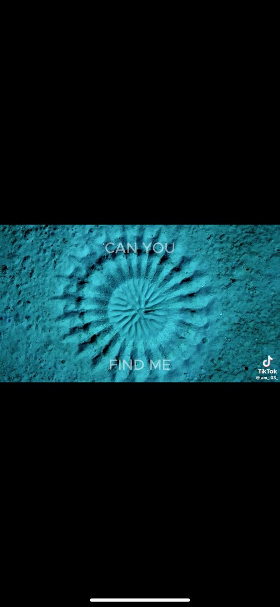 silverweighted's tweet photo. Am I crazy??? Or… do you see what I see? https://t.co/TJpzHPaXjw