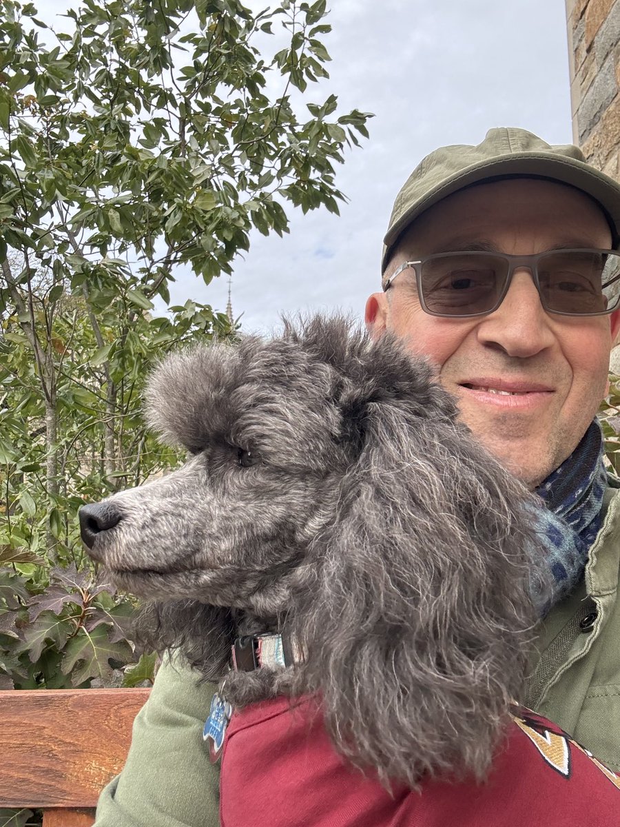 Go, Eagles! ⁦<a href="/BostonCollege/">Boston College</a>⁩ #poodle