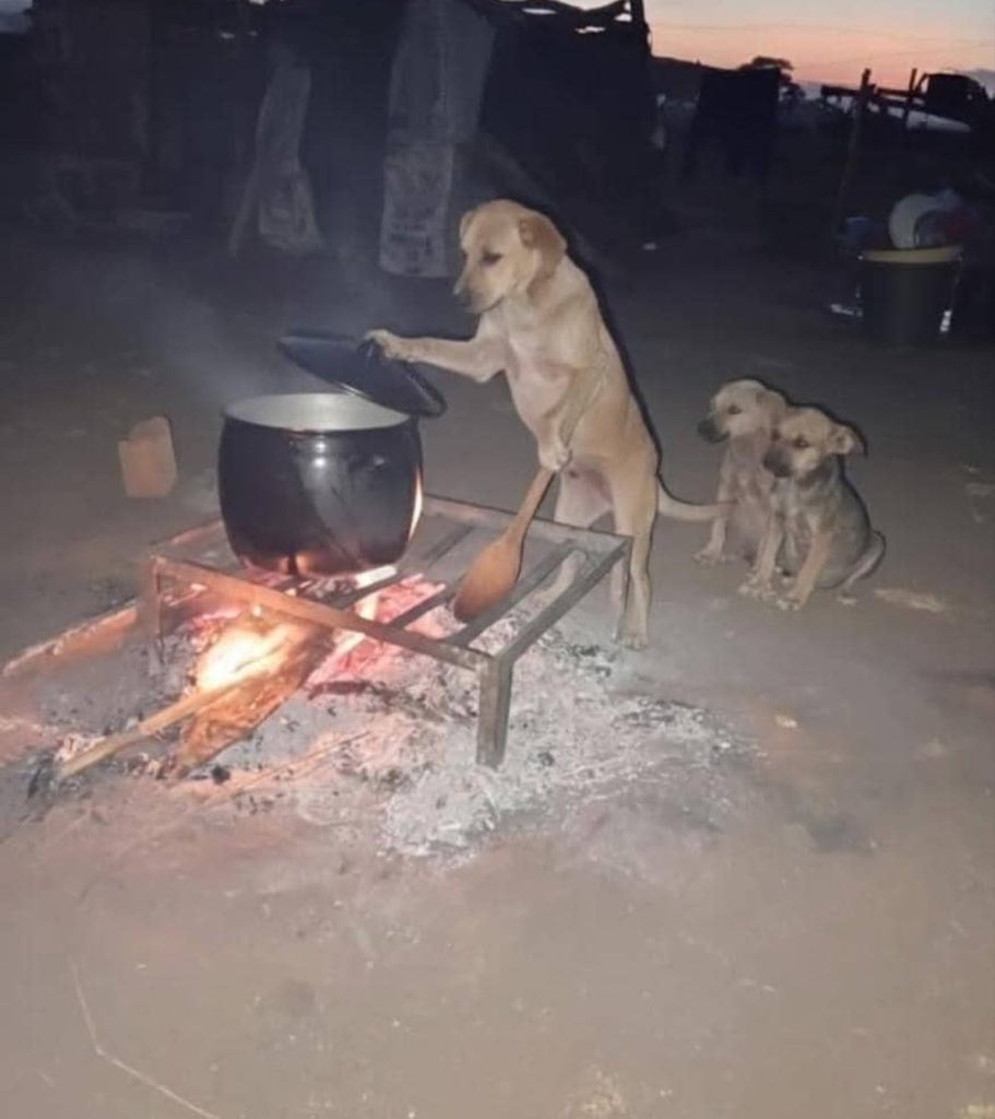 tinazeeZW1's tweet image. “Mazino enyu asimba vanangu, nhasi ndabika mabhonzo e hanga..”