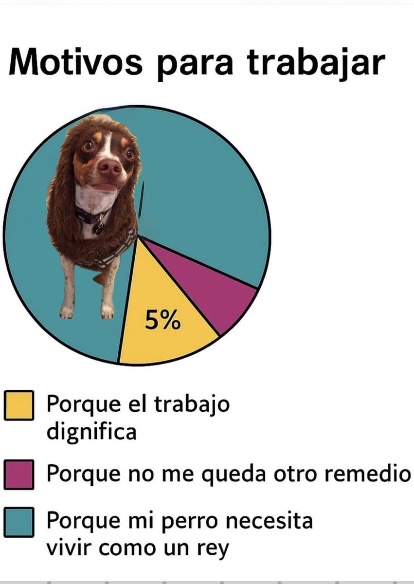 Nuria (@pedianu) on Twitter photo 