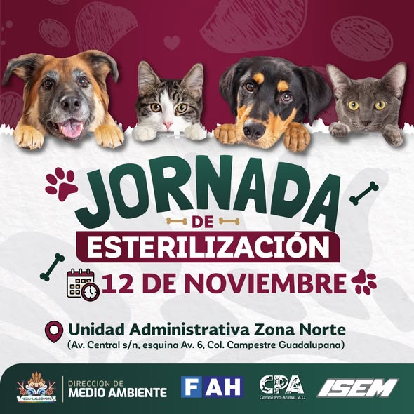 GobNeza's tweet photo. Ser un #tutorresponsable, 🙋♀️🙋♂️ es entender que los #perritosrescatados, 🐶también necesitan de nosotros, por ello te invitamos a participar en la siguiente #JornadaDeEsterilización 💉 y donar para apoyarlos, ahora en la Unidad Administrativa Nezahualcóyotl.
Con el ❤️x el #MedioAmbiente 🌎🐾