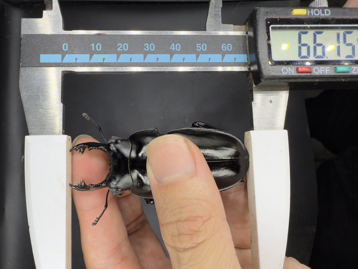 皮特玩自然 tweet media