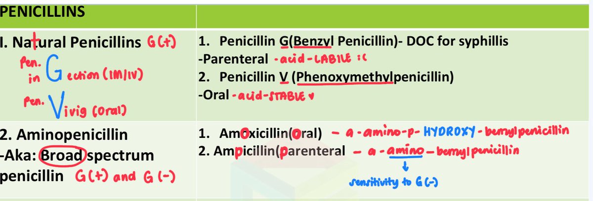 💊PENICILLINS annotations